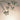 92.5 SW Necklace Set Butterfly